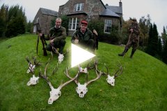 Trailer fra hjortejakt i Skottland